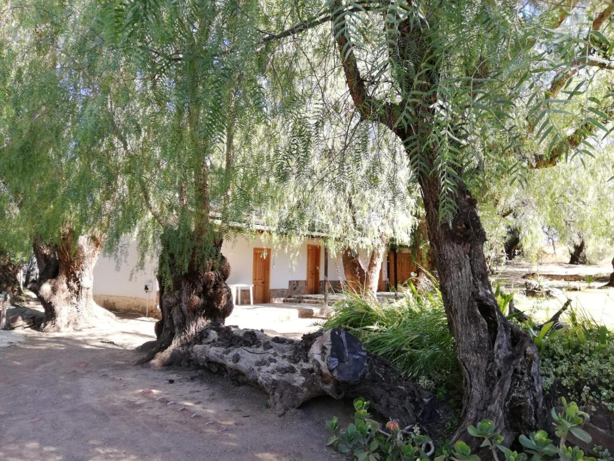 Hotel Doornfontein Guest Farm Cradock Exteriér fotografie
